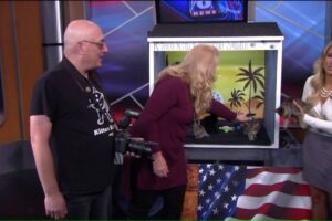 Want the cutest kitten photo ever? Visit this local kitten shelter to find out how