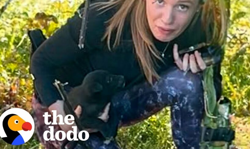 Woman Rescues Puppy From Under A Shipping Container | The Dodo