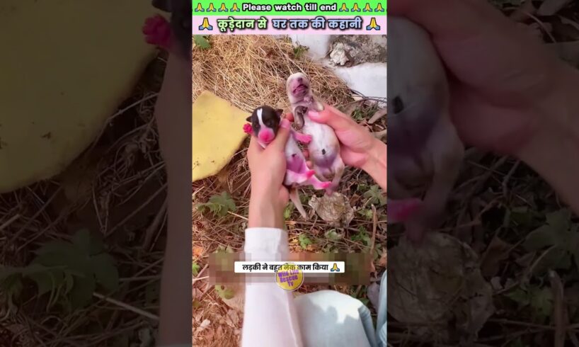 कूड़ेदान से घर तक की कहानी 🙏 #animal #animals #animallover #animalrescue #dog