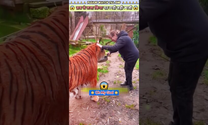सब ने मना किया पर दादी नही मानी 😱 #animal #animals #animallover #animalrescue #lion