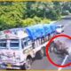 15 Shocking Wild Animal Encounters on City Streets | Dramatic Animals Fighting