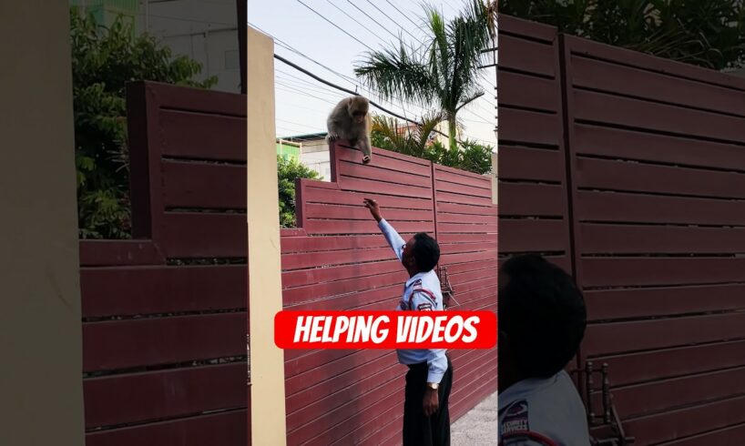 Helping videos for animals 🙏🕉️#shorts #helping #animals