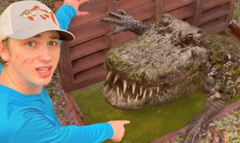 I Found Dying Animals in a Sewer!