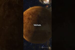 Mind Blowing Scientific Facts You Didnt  prob know!