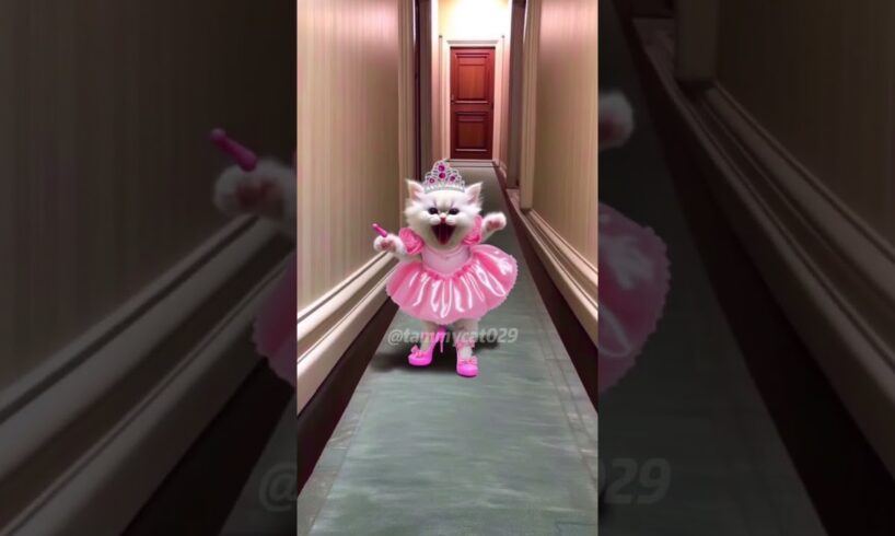 Princess syndrome#cat#cat #cats#catvideos #cute #kitten #catshorts #story #cuteanimal #cutecats