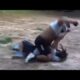 TWO BROTHERS FIGHT! #STORYTIME #RANDOM #HOODFIGHTS #MRSMOOVEONE52 #DASHOOTA #SIBLINGSFIGHT