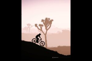 mountain cycle stunt video #shorts people are awesome #viral #respect #mtb