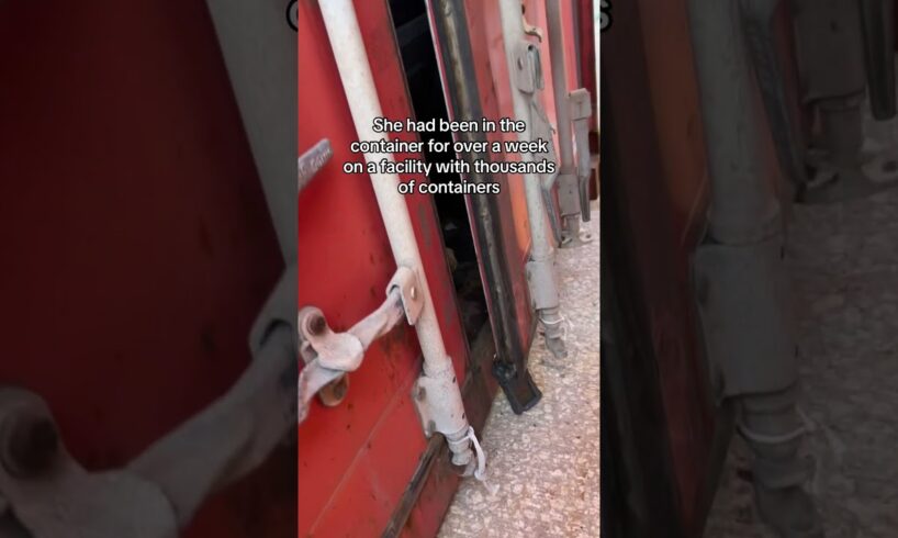 Dog rescued from a shipping container it was stuck in for a WEEK! #Dogs #DogRescue #AnimalRescue