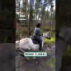 Family have the most wholesome time horseback riding 🥰 🐴       🎥: Instagram/stall_bergshamra