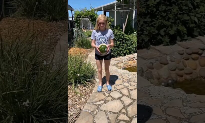 Instant Karma Fails 😂🤣😂 Best Fails Of The Week #viral #shorts #funny #fails #fail