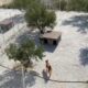 More Dogs are Moving in the New Areas! -  Takis Shelter
