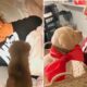 New Puppy Surprise Compilation 2023 | Wholesome Surprise Moments