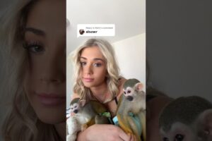 ❤️ #monkeyvideos #madlovesripley #oliverandoakley #beauty #grwm #makeup #love #animals #cute #baby