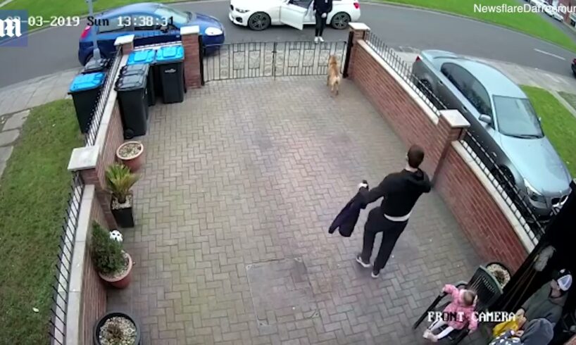 Street fight compilation #1