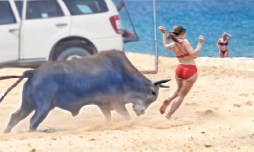 Total Idiots At Work 2024 || Best USA Fails of the Week || Best Fails of the Week || Instant Karma