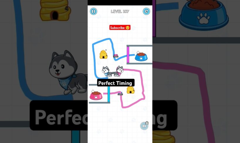 Cute puppies opening gate with perfect timing 🤩😍 #trending #puzzzle #shorts #dog