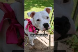 Dog rescued from Scandia house fire meets her heroes.