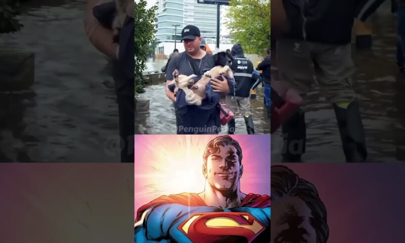 Heroes of the Flood: Animal Rescues in Brazil 🌟#starman #superman #animalrescue