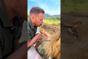 The man adopted an abandoned little lion,bringing unexpected joy #animals #rescue #shorts #healing