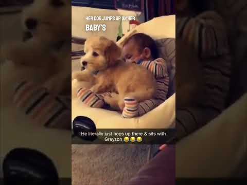 This dog and baby are best friends 👏❤️