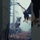 Zebra VS Eagle & Amazing Animal Fights #shorts