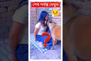 কুকুরের কারণে মেয়েটি প্রাণে বাঁচলো! #shorts #dog #protect #animals