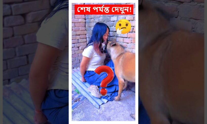 কুকুরের কারণে মেয়েটি প্রাণে বাঁচলো! #shorts #dog #protect #animals