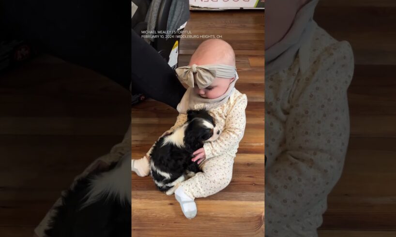 Baby and puppy become instant best friends