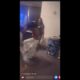 Hood Girl Fight