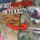 "I Killed Bigfoot" 4 SHOCKING TEXAS MYSTERIES | The Proof Is Out There