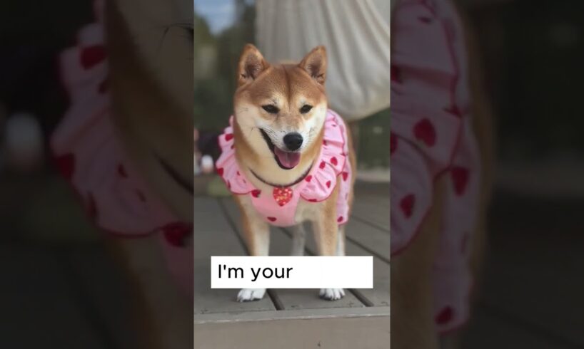 I am Your Bestie . . . ! #shorts #youtubeshorts #shortvideo #foryou #dogs #dogshorts #doglovers #dog