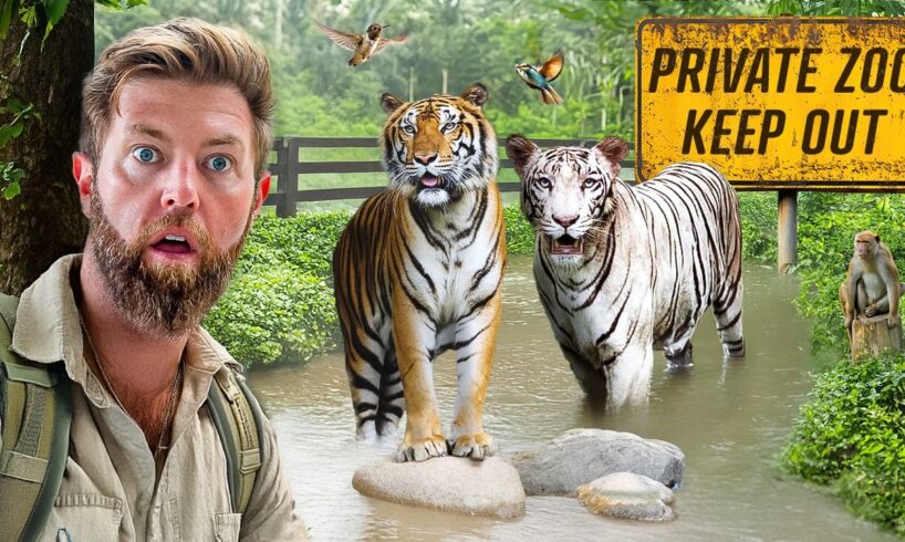 Private Tour of an Indian Billionaire’s Secret Wildlife Rescue Center
