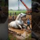 Rescued a heavy horse stuck in mud #humanity #horse #animals #shortsfeed #rescue #wildlife #shorts