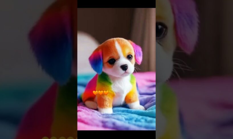 | cute puppies and kittens | dog love | #dog #cat #puppy #kitten #love #cute #shorts #ytshorts