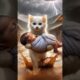 A cat saved a baby #CuteAnimals#AnimalRescue#animation#trending