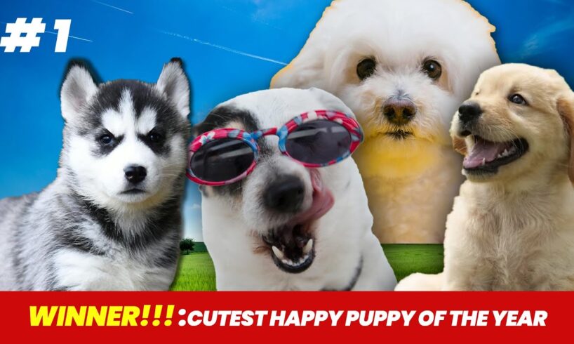 Best Puppy Video 🐶| Cutest Puppies of 2025