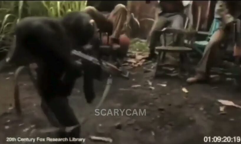 Crazy, Near Death, and WTF Moments [Pt. 1] | Video Compilation 2025 | ScaryCam