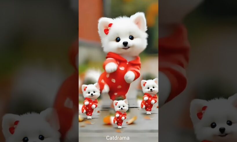 Cute pets dance clips 😻😂#cute  #puppies #cutepet #shortfeed