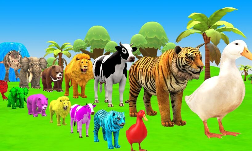 Paint Animals Duck,Tiger,Cow,Lion,Bear,Gorilla,Elephant,Dinosaur Fountain Crossing Animal Game New