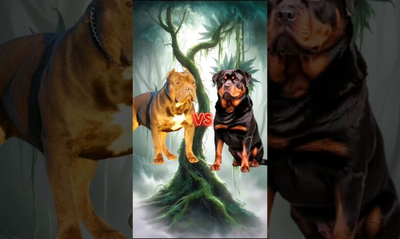 Pitbull Dog vs Animals & jurassic World #animalbattle