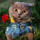 Romeow & Juliet