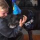 Woman has birthday party for dog in shelter for 1000 days