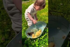 Adorable Baby Animals Playing in Nature! | এই বাচ্চাটির মিষ্টি দুষ্টুমি! #shorts
