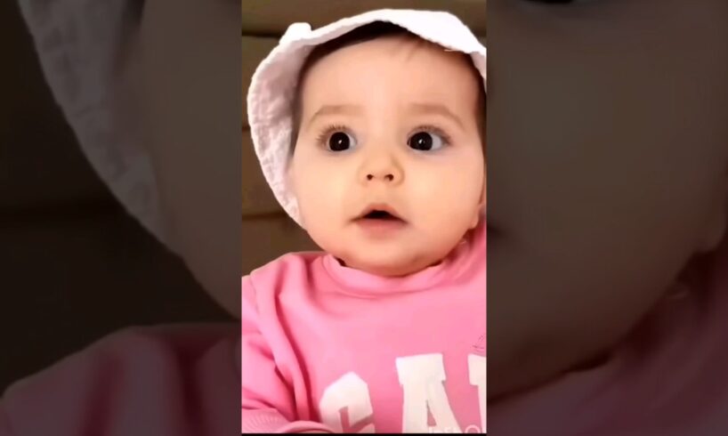 Dog 🐶 funny 🤷‍♀️🤣 video #shorts #cutebaby #catvideos #trending