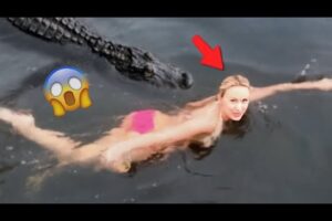Luckiest People Ever Caught on Camera – Unbelievable Moments!
