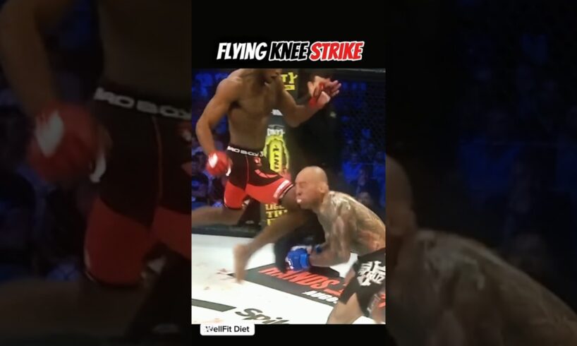 Muay Thai Flying Knee Strike KO for Street Fight #muaythai #mmafighter #martialarts #shortvideo #yt