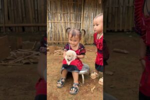 Steal a baby dog 🤣🤪 Mong family #shorts
