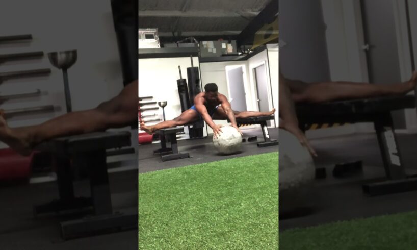 the everything workout