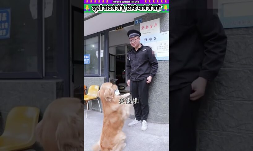 खुशी बांटने में है, सिर्फ पाने में नहीं 🥰 #animal #animalrescue #animallover #rescue #dog