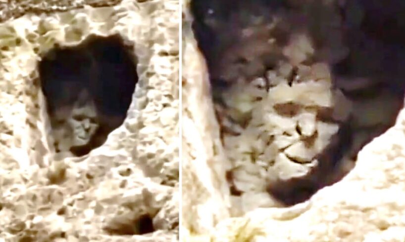 15 Unsolved Mysteries That Cannot Be Explained